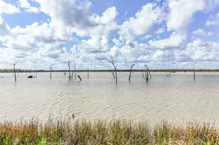 208 Pony Trail, Angleton, TX 77515 - Photo 50