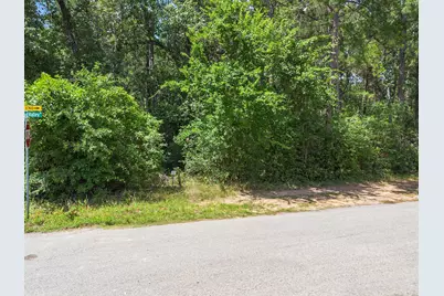 23717 Pinewood Valley Drive, Hockley, TX 77447 - Photo 8