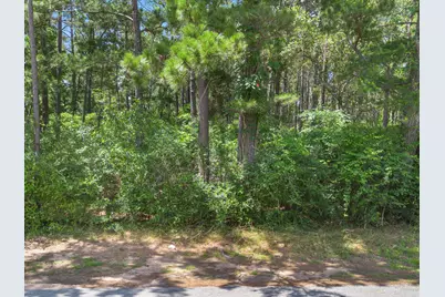 23717 Pinewood Valley Drive, Hockley, TX 77447 - Photo 10