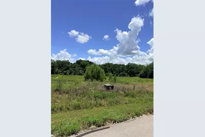 Lot 36 Winding Branch, Chappell Hill, TX 77426 - Photo 4