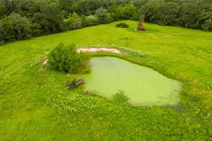 8166 Riley Rd, Bryan, TX 77808 - Photo 34