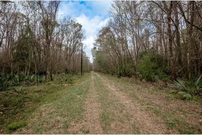 Lot 1 and 2 Harper Branch Road, Trinity, TX 75862 - Photo 16