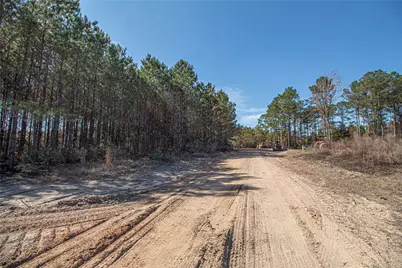 Tbd Sandydale Lane, Livingston, TX 77351 - Photo 10
