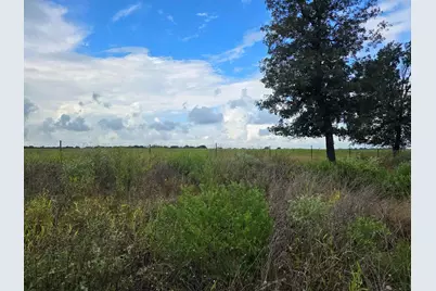 37903 Antrim Street, Hempstead, TX 77445 - Photo 4