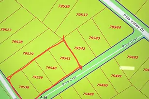 Tbd Pine Crest St, Shepherd, TX 77371 - Photo 1