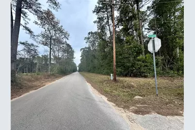 Tbd Pine Crest Street, Shepherd, TX 77371 - Photo 2