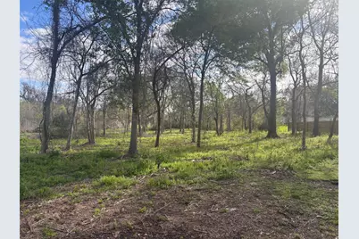 0 Lost Lake Drive, Mont Belvieu, TX 77523 - Photo 4