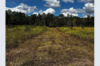 Tbd Hwy 190 Highway, Oakhurst, TX 77359 - Photo 10