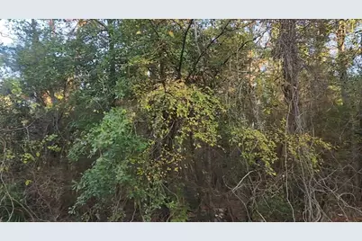 Lot 7 Sweetleaf Lane, Plantersville, TX 77363 - Photo 10