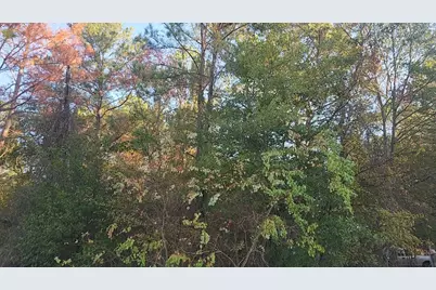 Lot 7 Sweetleaf Lane, Plantersville, TX 77363 - Photo 6