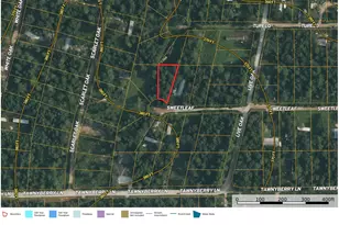 Lot 7 Sweetleaf Ln, Plantersville, TX 77363 - Photo 1