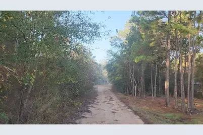 Lot 7 Sweetleaf Lane, Plantersville, TX 77363 - Photo 2