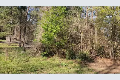 Lot 7 Sweetleaf Lane, Plantersville, TX 77363 - Photo 4