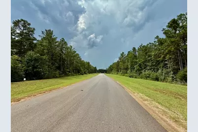 10769 Ruger Rd, Willis, TX 77378 - Photo 12