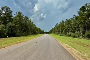 10769 Ruger Rd, Willis, TX 77378 - Photo 12