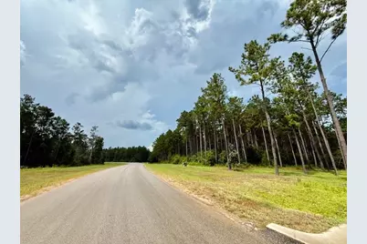 10769 Ruger Rd, Willis, TX 77378 - Photo 10