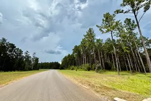 10769 Ruger Rd, Willis, TX 77378 - Photo 10