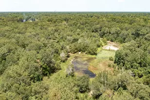 19945 Hwy 242, Conroe, TX 77306 - Photo 6