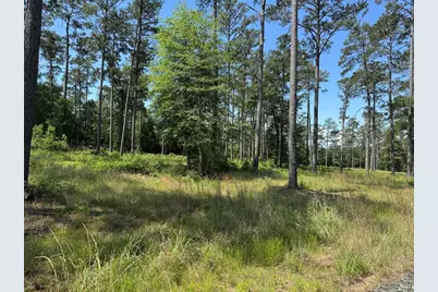 009 Private Road 6028 Tract 1-9, Brookeland, TX 75931 - Photo 2