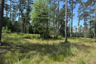 009 Private Road 6028 Tract 1-9, Brookeland, TX 75931 - Photo 2
