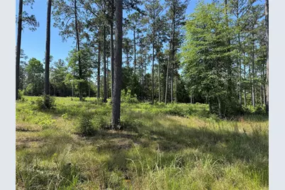 009 Private Road 6028 Tract 1-9, Brookeland, TX 75931 - Photo 10
