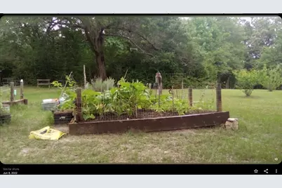 427 County Road 4822, Timpson, TX 75975 - Photo 8