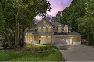 39 Fortuneberry Pl, The Woodlands, TX 77382 - Photo 1