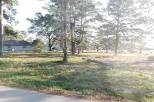 14157 Teel Rd, Montgomery, TX 77356 - Photo 2