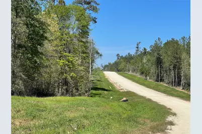 319 Exploration Road, New Waverly, TX 77358 - Photo 10