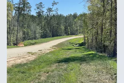 319 Exploration Road, New Waverly, TX 77358 - Photo 14