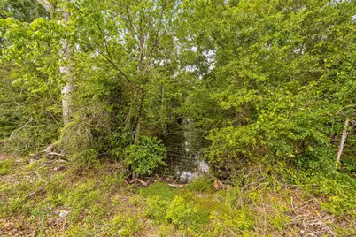 161 County Road 508, Brazoria, TX 77422 - Photo 8