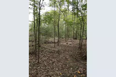 50 Jock Street, Livingston, TX 77351 - Photo 8