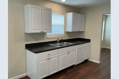 13206 Ambrosa Drive, Houston, TX 77044 - Photo 4