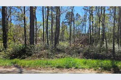 15570 Firewood Drive, Conroe, TX 77303 - Photo 6