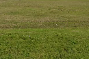 34616 Sh 249, Pinehurst, TX 77362 - Photo 8