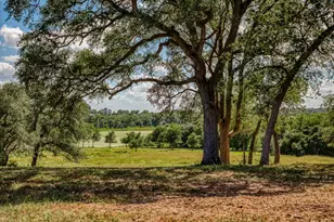Tbd Bauer Rd, Fayetteville, TX 78940 - Photo 1