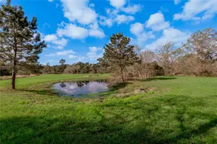 2155 W US Hwy 287, Groveton, TX 75845 - Photo 24