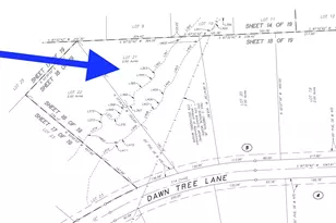 11631 Dawn Tree Ln, Willis, TX 77378 - Photo 2