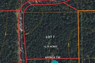 0007 Evergreen Lot 7 Fm 362-2 Rd, Waller, TX 77484 - Photo 1