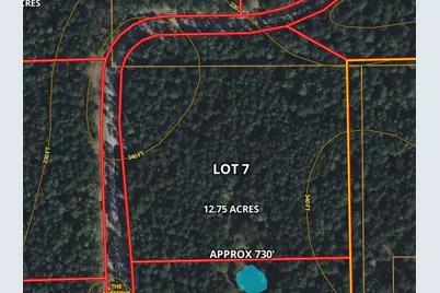 0000 Evergreen Lot 7 Fm 362-2 Road, Waller, TX 77484 - Photo 6