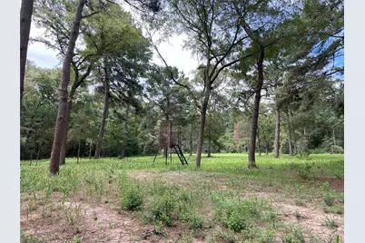0000 Evergreen Lot 2 Fm 362 Road, Waller, TX 77484 - Photo 14