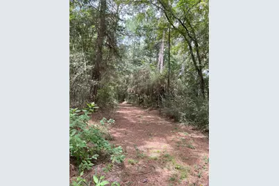 0000 Evergreen Lot 2 Fm 362 Road, Waller, TX 77484 - Photo 12