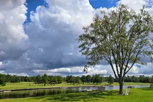 16072 Ridge Oak Rd, Willis, TX 77378 - Photo 6