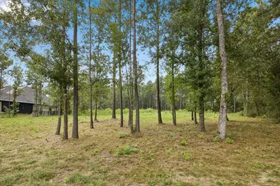 25171 Balmorhea Way, Montgomery, TX 77316 - Photo 4