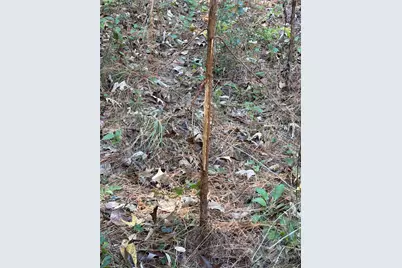 5589 Pr 1580, Centerville, TX 75833 - Photo 26