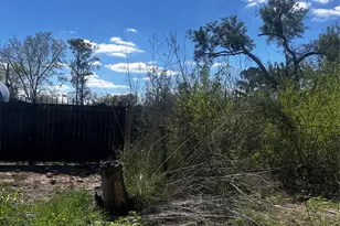 6214 Grosbeck Dr, Houston, TX 77048 - Photo 2