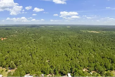Tbd Lot 2 County Road 302, Navasota, TX 77868 - Photo 34