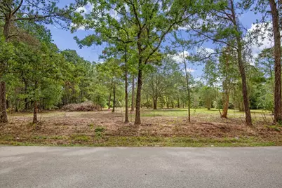 Tbd Lot 2 County Road 302, Navasota, TX 77868 - Photo 4