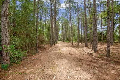 Tbd Lot 2 County Road 302, Navasota, TX 77868 - Photo 6