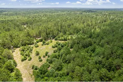 Tbd Lot 2 County Road 302, Navasota, TX 77868 - Photo 46